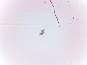 image 00_31_10_626820.jpg (3.4MB)