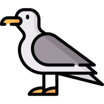 Lien vers: PedaOiseauxAn2