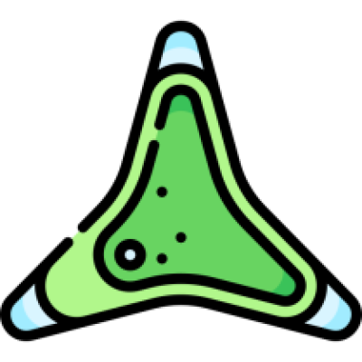 Image du module Le plancton et ses formes