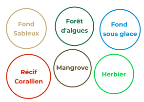 image categori_habitats.png (0.2MB)