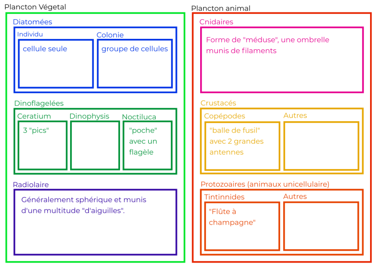 image Boite_tri_plancton.png (0.1MB)