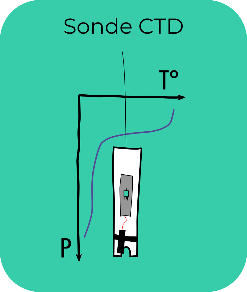 image bloc_CTD.png (46.7kB)